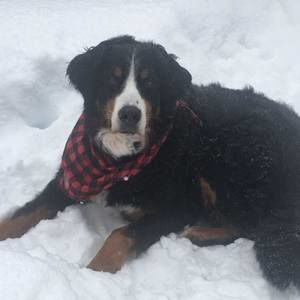 Meet your Posher, Robyn